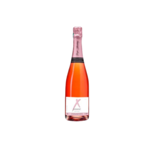 X-MOMENT Champagner